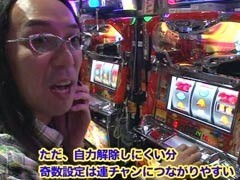 #41 ういちとﾋｶﾙの日の丸房総STC/ねぇねぇ 島娘/鉄拳ﾃﾞﾋﾞﾙ